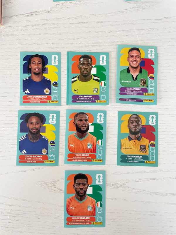 Panini Sticker Gruppe E