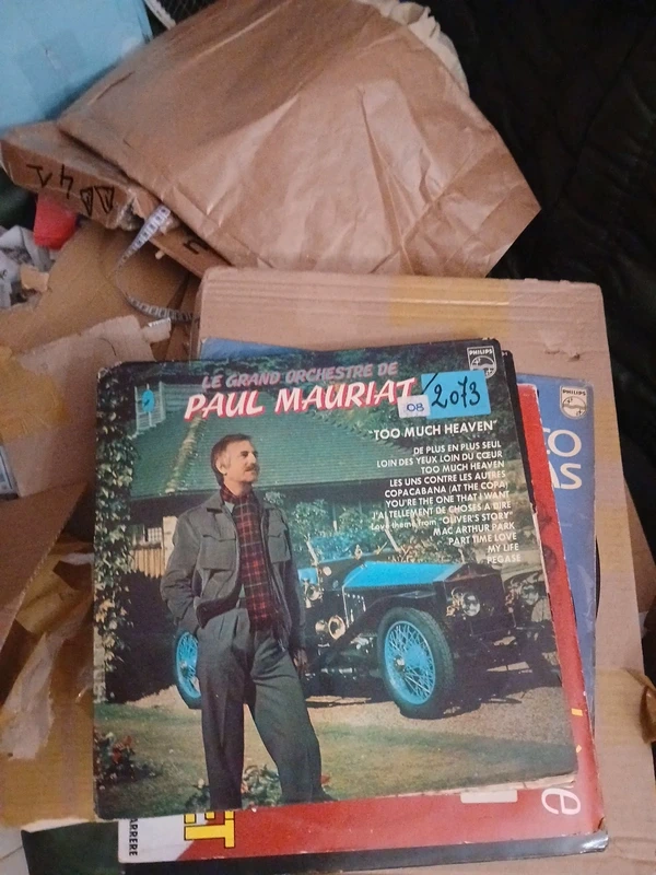 Le Grand Orchestte de Paul Mauriat 33 T