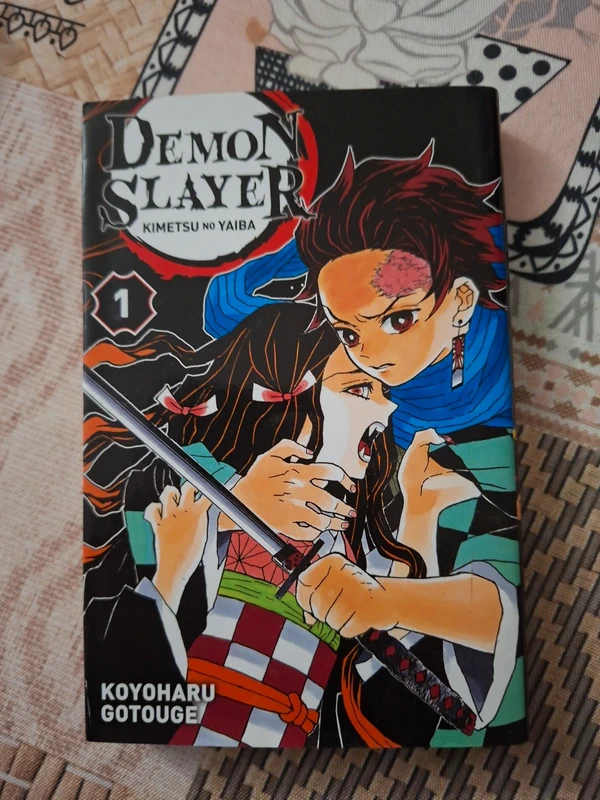 Demon slayer tome 1