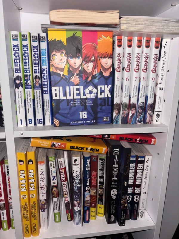 Manga en varier