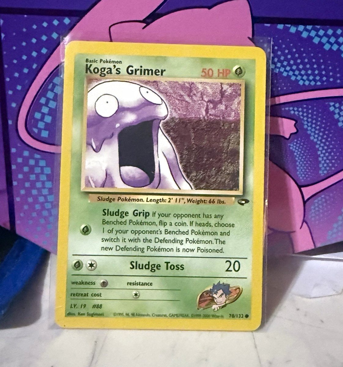 Pokémon TCG Koga's Grimer 78/132 Sfida Palestra Regolare Comune Illimitato