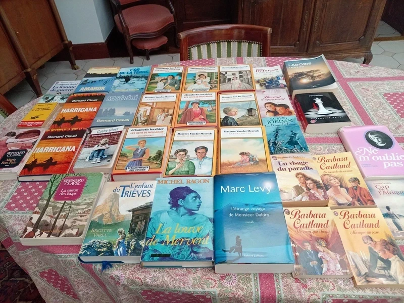 lot de 34 livres bon état