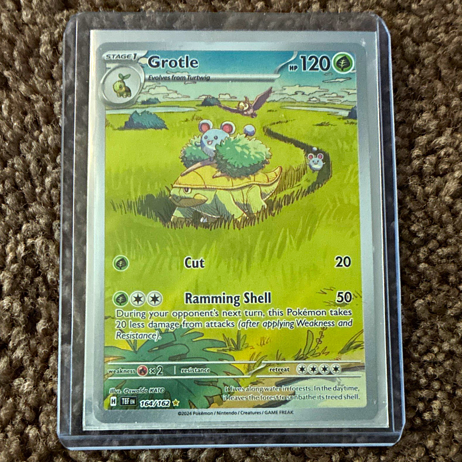 2024 Forze Temporali - Grotle 164/162 Full Art come nuovo