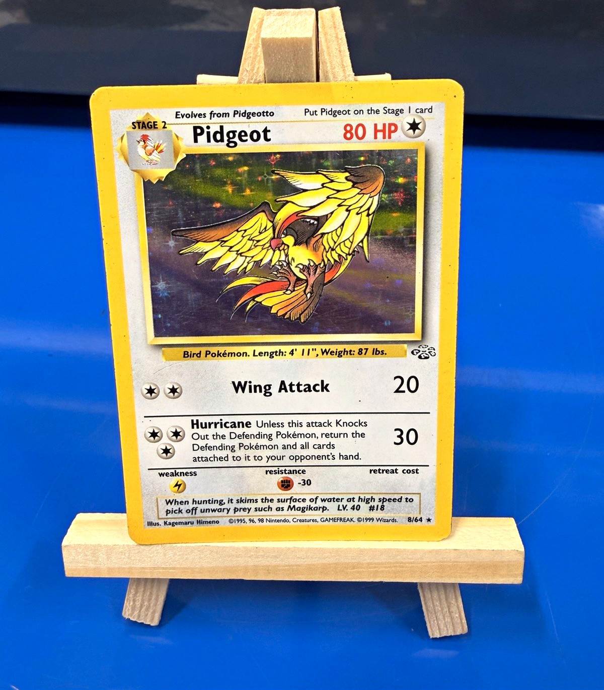 Pidgeot Jungle 8/64 Holo Rare Holo English 80 HP Kagemaru Himeno