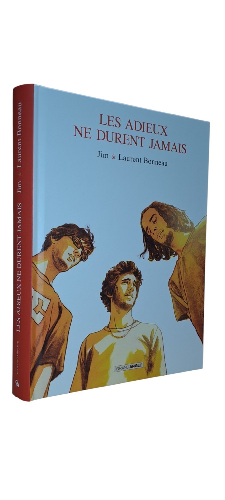 LES ADIEUX NE DURENT JAMAIS (BD#P#GRAND ANGLE)