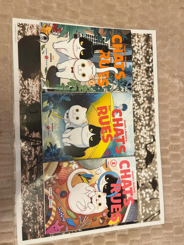 Tome 1,2 et 3 de chats des rues