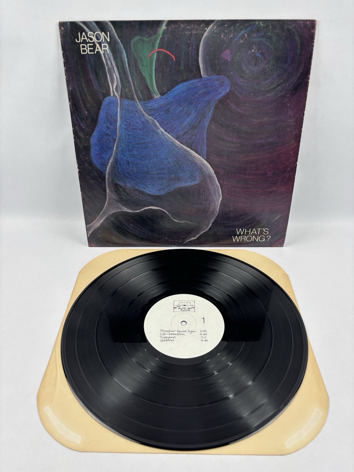 Jason Bear What's Wrong? Vinyl LP 1986 Private Press Bearly Able Records