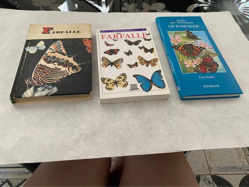 Piccoli libri di Farfalle