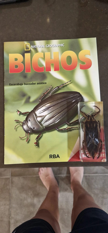 insecto de resina con su revista