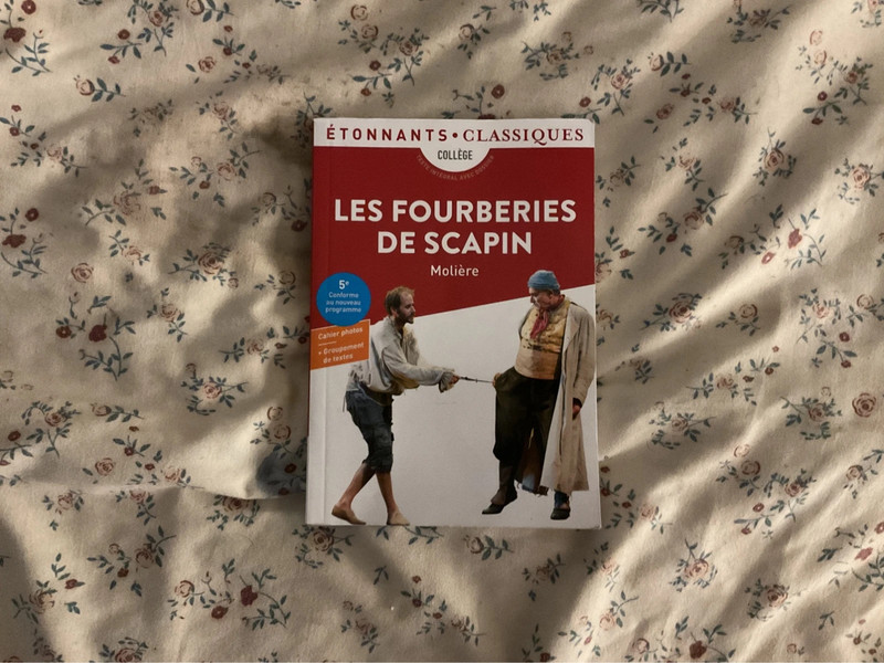 Livre les fourberies de scapin