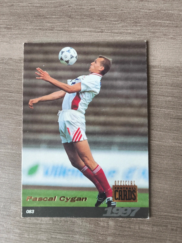 Carte Pascal Cygan LOSC Lille Olympique Sporting Club France D1 star foot collection joueur