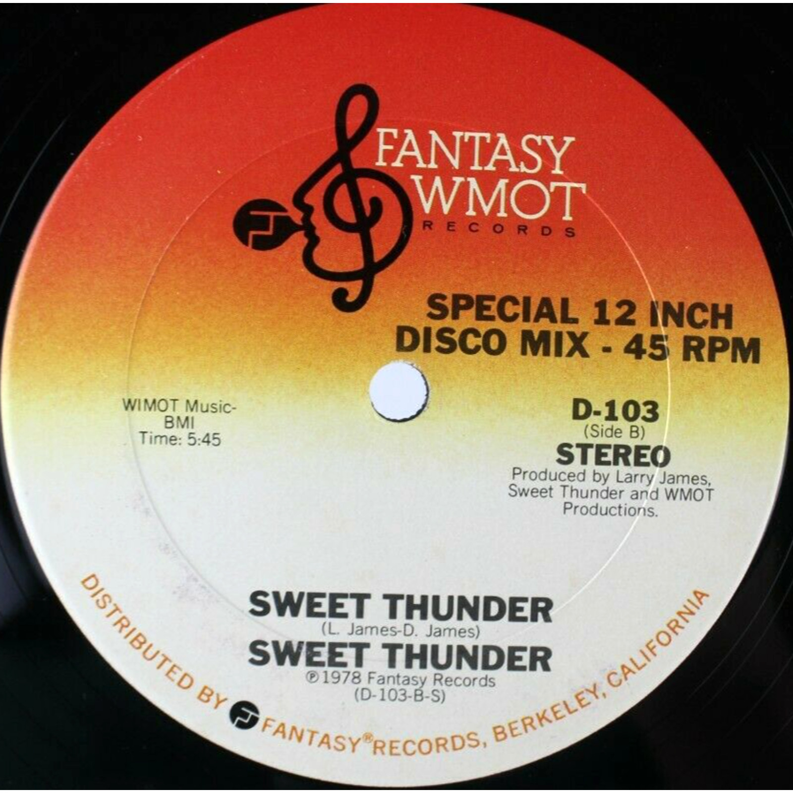 SWEET THUNDER EVERYBODY'S SINGIN LOVE SONGS DISCO MIX 12" VINYL RECORD