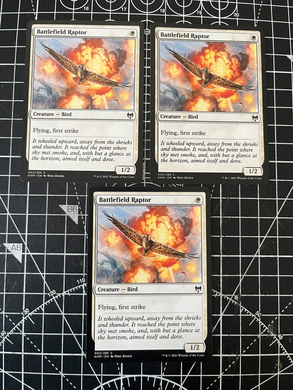 3x Battlefield Raptor - Magic MTG
