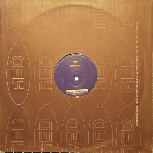 Sound Crowd – The Easy Does It - 12" Vinyl - 1995 - REMIX020L - AFXG - VG+/VG+