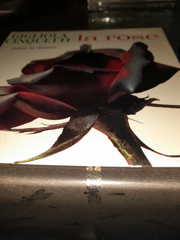 Ep Gigliola Cinquetti La rose chante en français