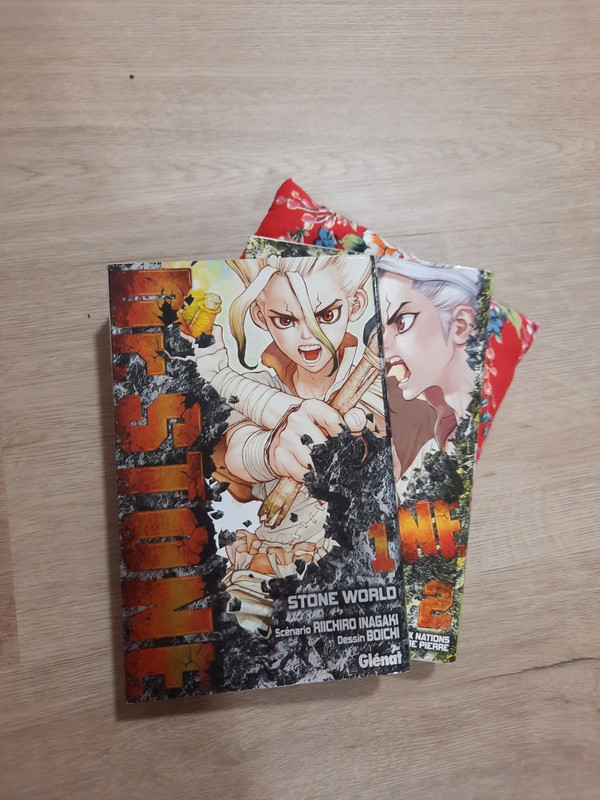 Dr Stone