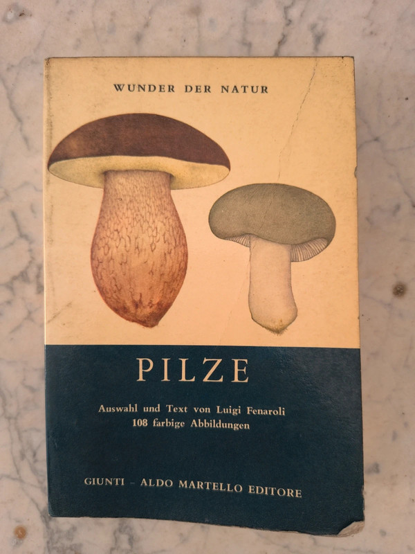 Pilze