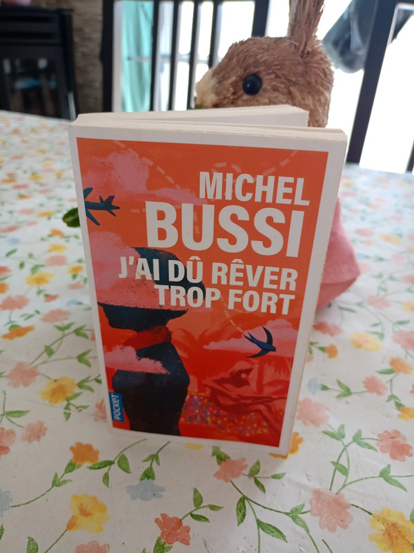 J ai du rêver trop fort