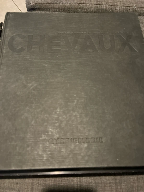 Chevaux de Gabrielle Boiselle