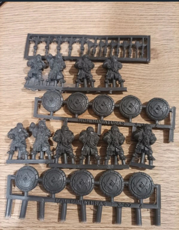10 dwarf warriors with shield, the old Orld