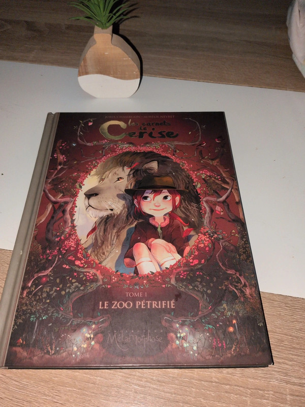 Les carnets de cerise