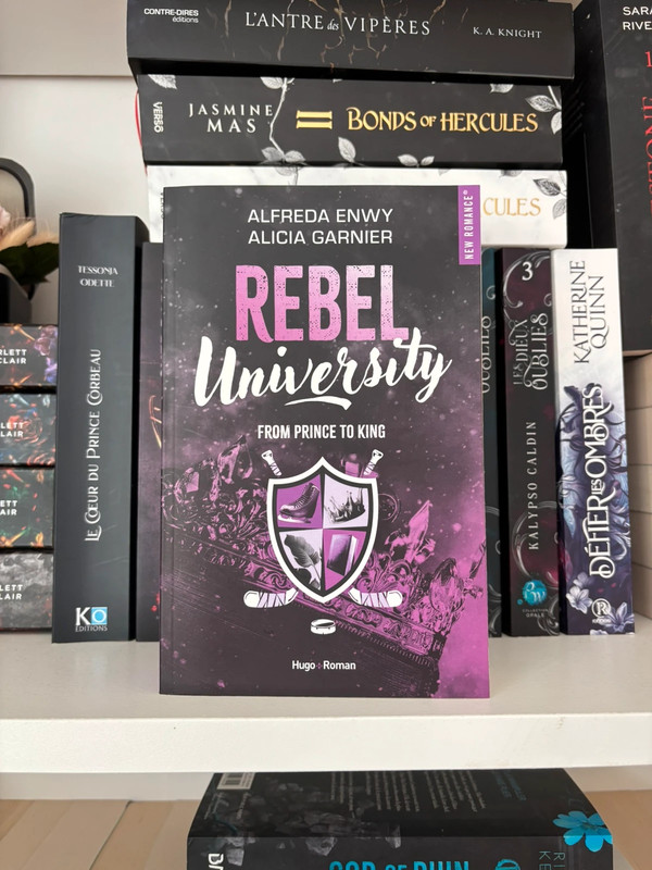 Rebel University tome 2
