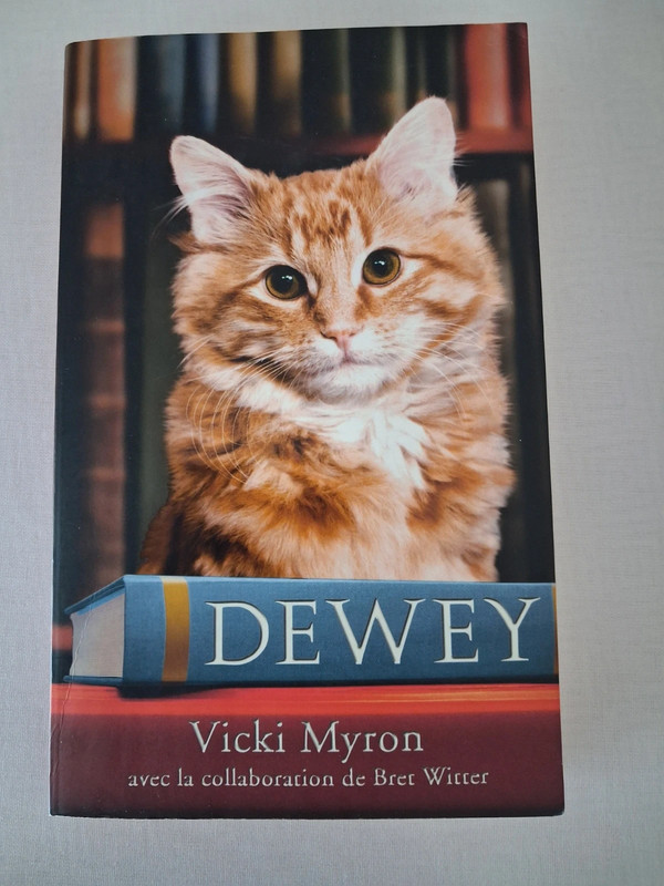 Dewey de Vicki Myron
