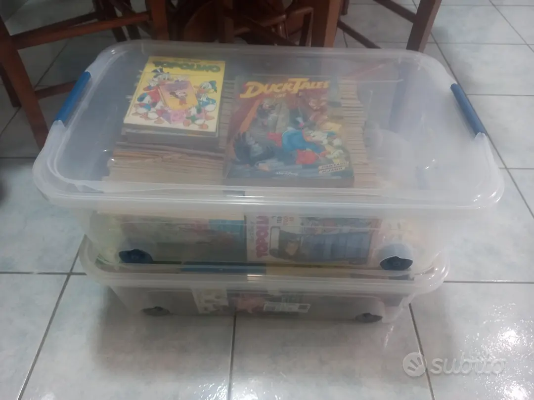 Topolino