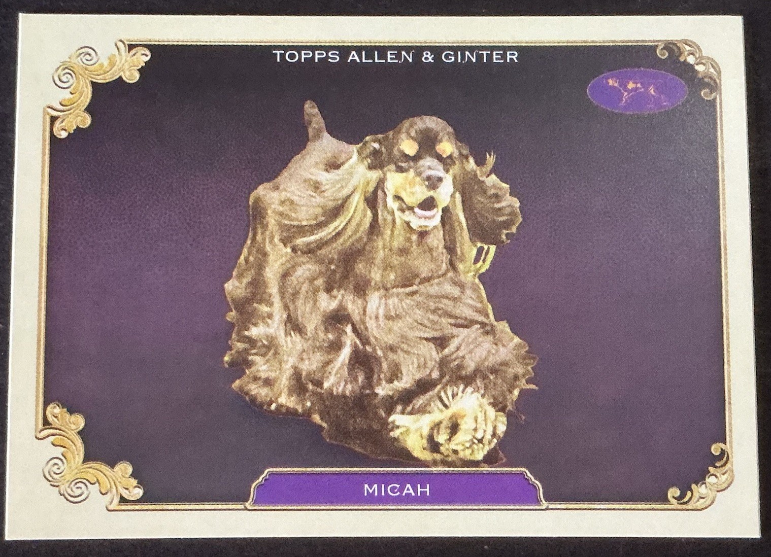 2024 Topps Allen & Ginter Best In Show Westminster Kennel Club #28 MICAH