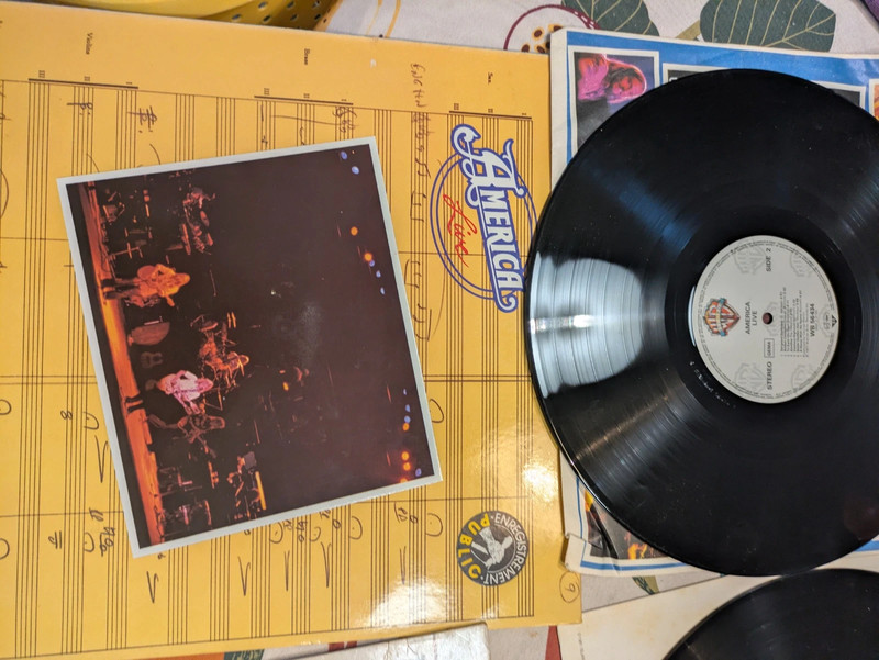 Vinyle America live