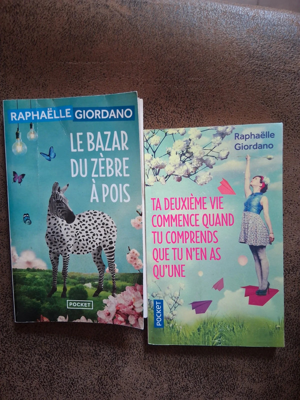 Lot de 2 romans de Raphaëlle Giordano