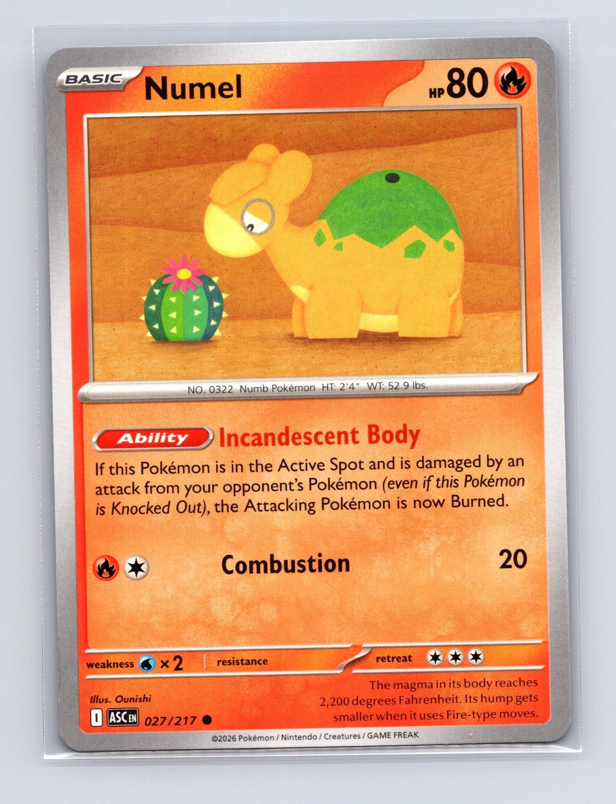 Numel 027/217 Common 2026 Ascended Heroes NM