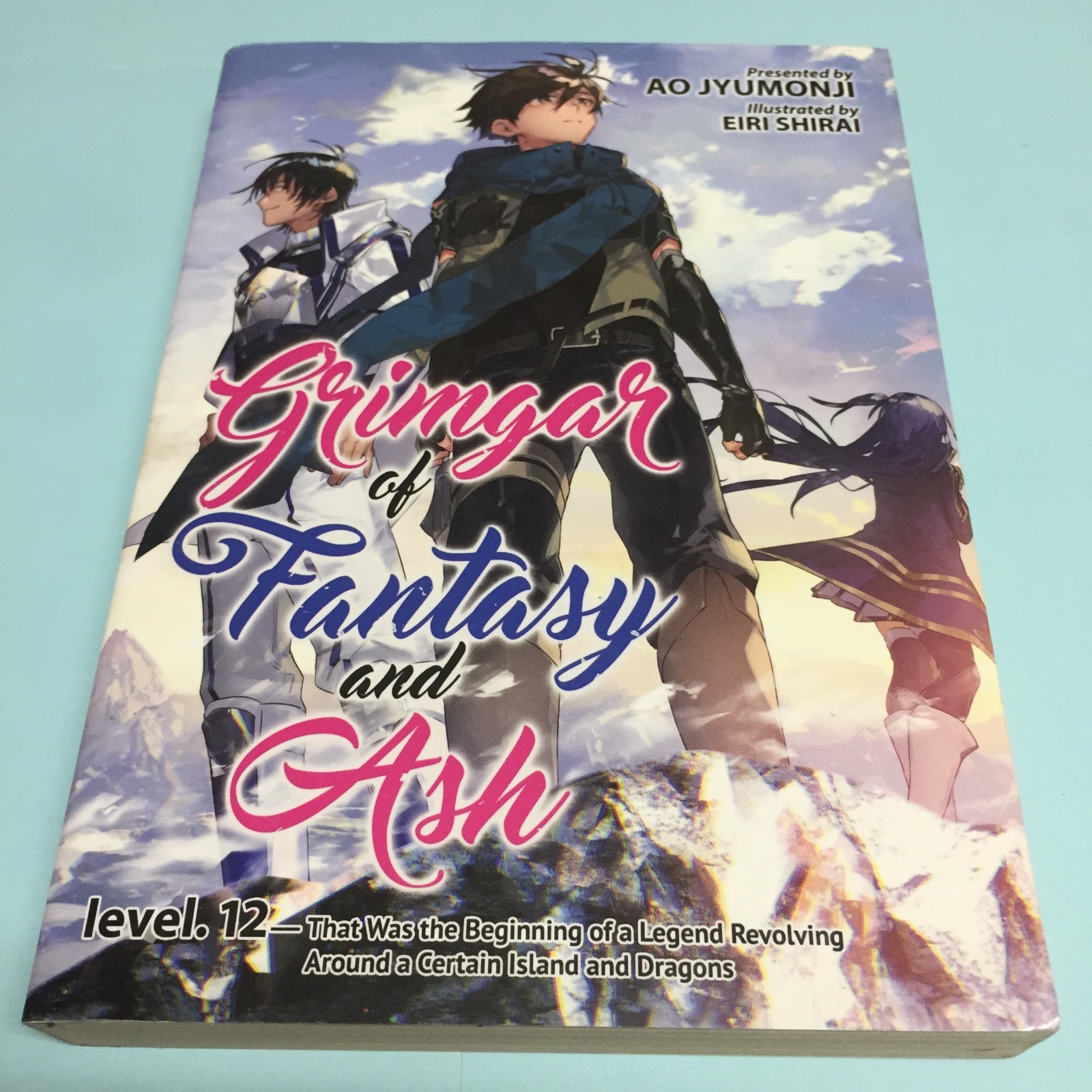 Grimgar of Fantasy and Ash Level Volume 12 Light Novel Libro Inglese