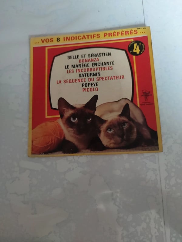 Vinyle 45 Tours
