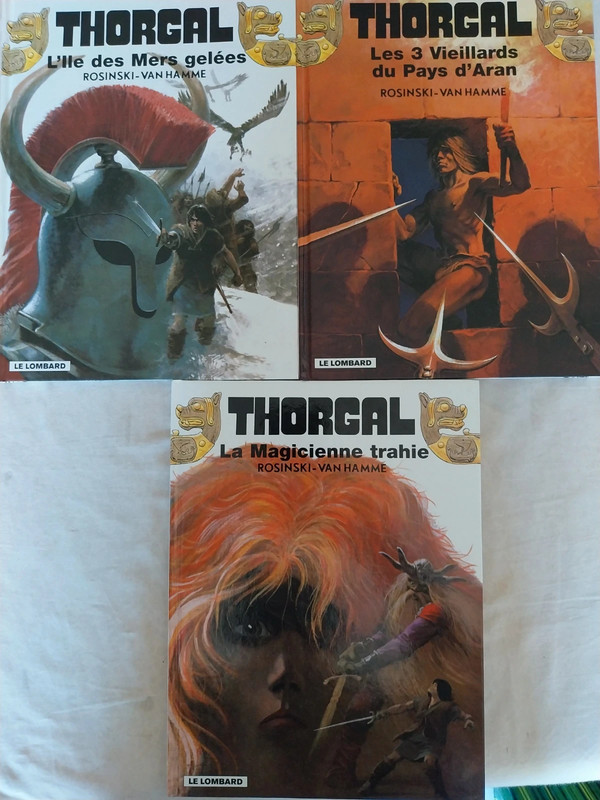 Lot de bd "Thorgal"