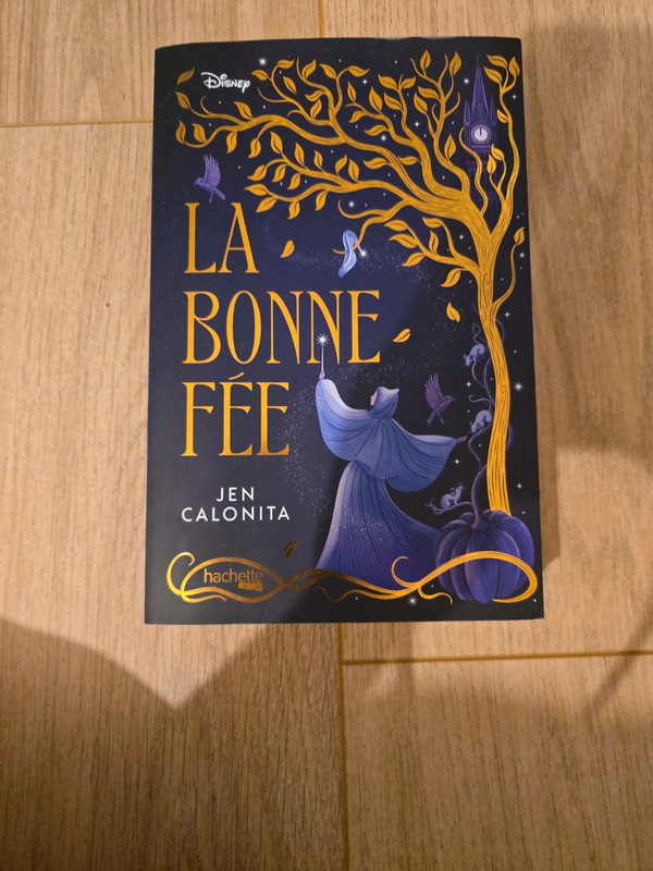 Livre " la bonne fée "