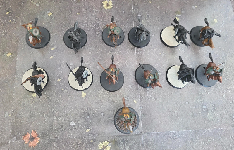 Lot 13 cavaliers du rohan mesbg seigneur des anneaux lord of the rings