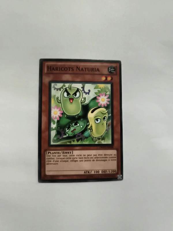 Haricots naturia (yu gi oh)