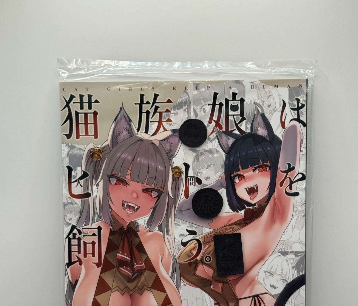 Asanagi Doujinshi / Illustrazione Giappone 