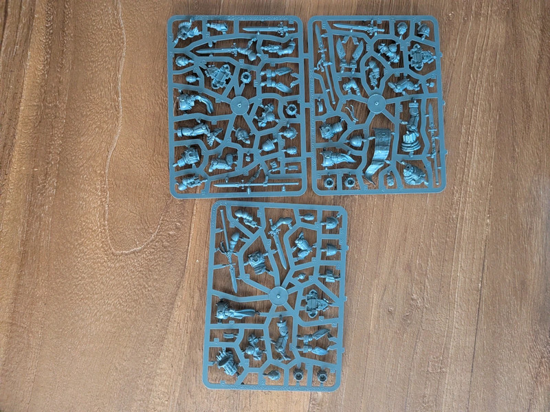Warhammer BA Garde Sanguinienne 1