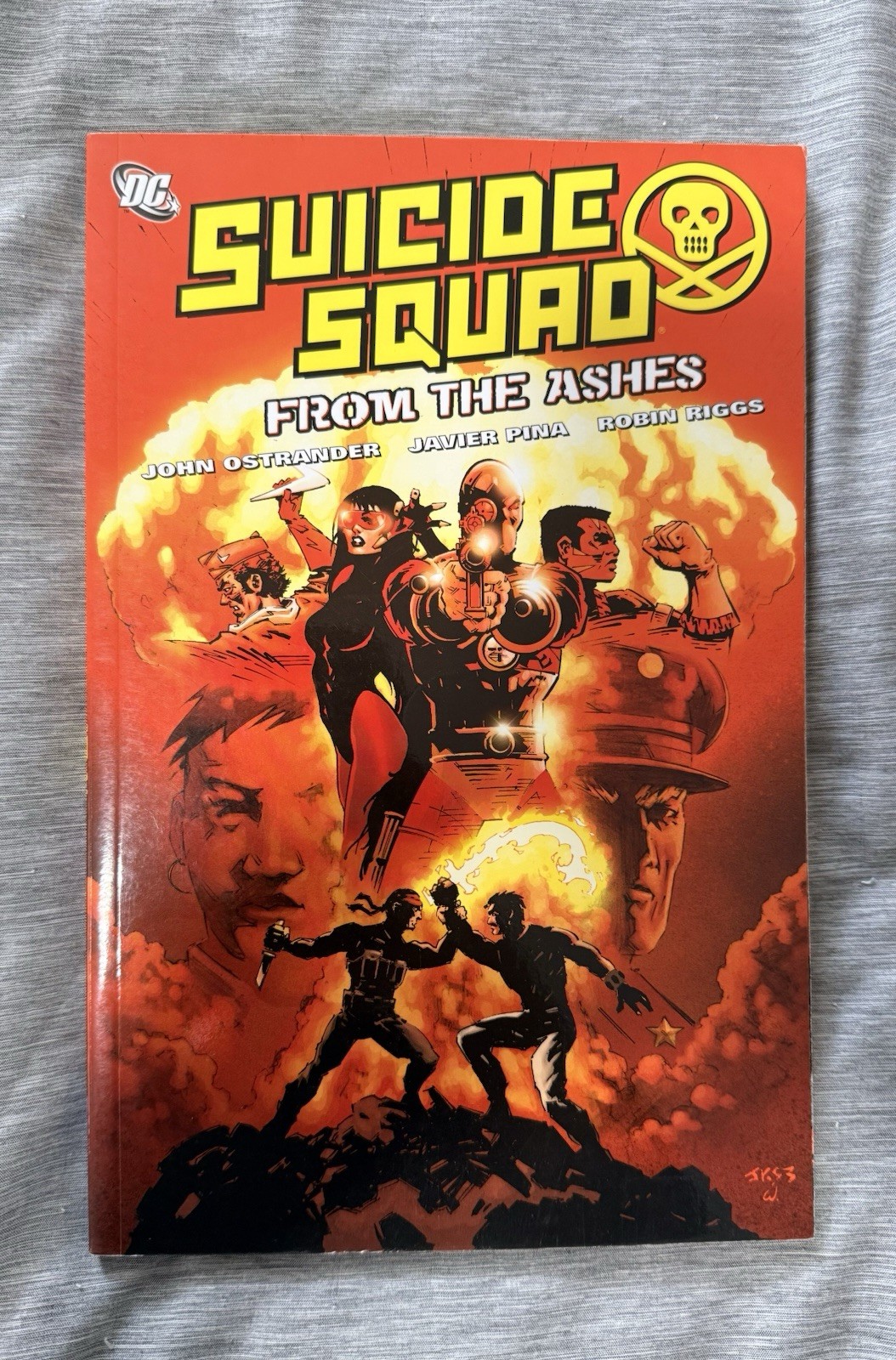 SUICIDE SQUAD: FROM THE ASHES Libro in brossura TPB Ostrander DC