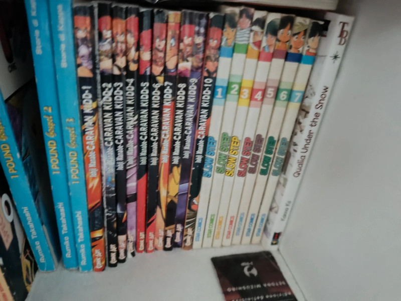Slow Step serie completa mitsuru adachi