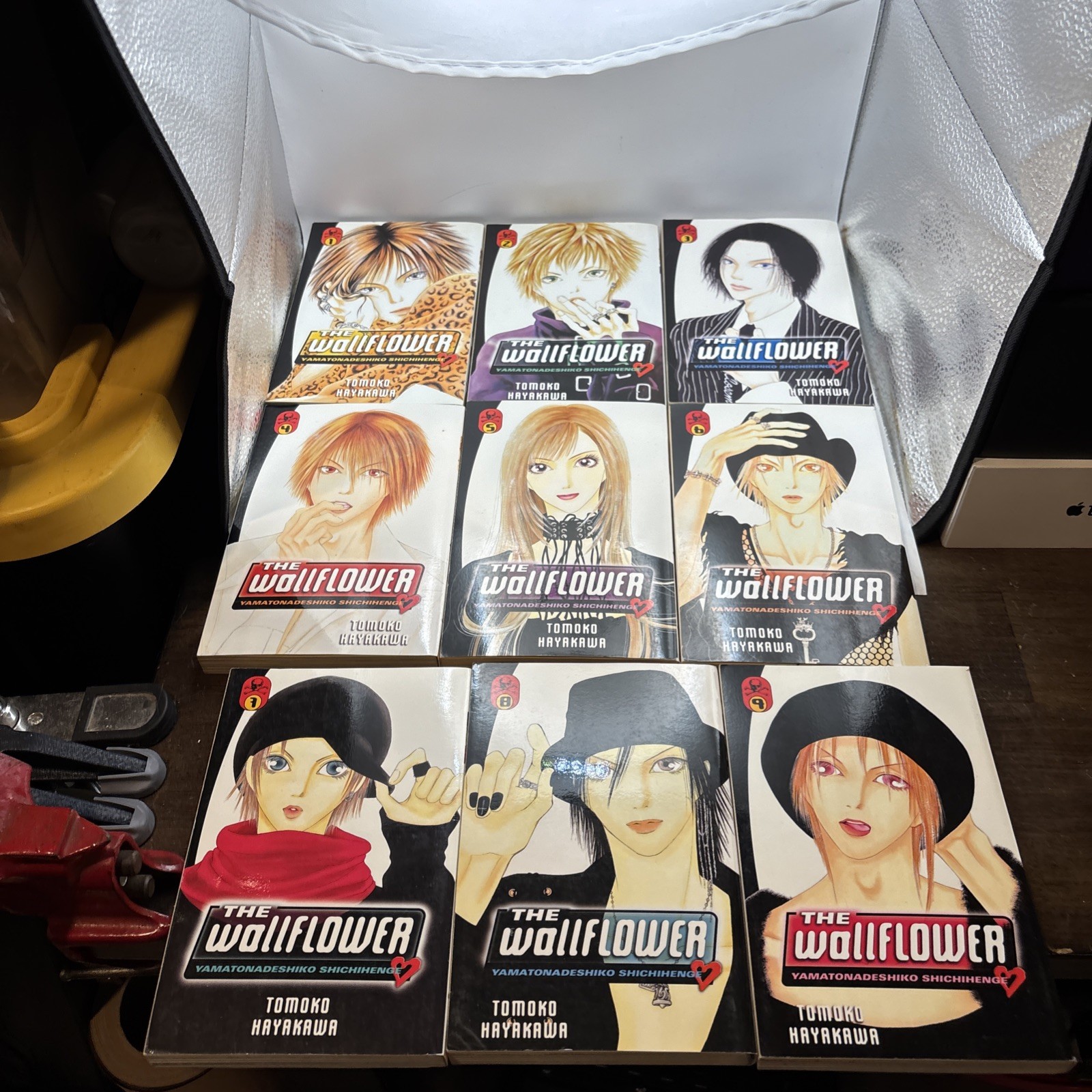 The Wallflower Volume 1-9 di Tomoko Hayakawa manga inglese