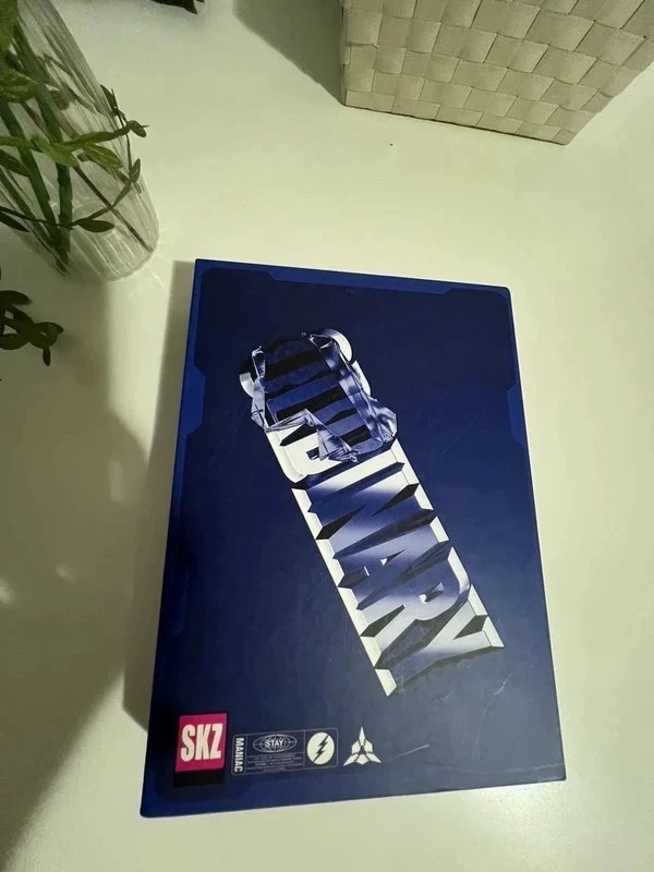 Álbum stray kids ordinary