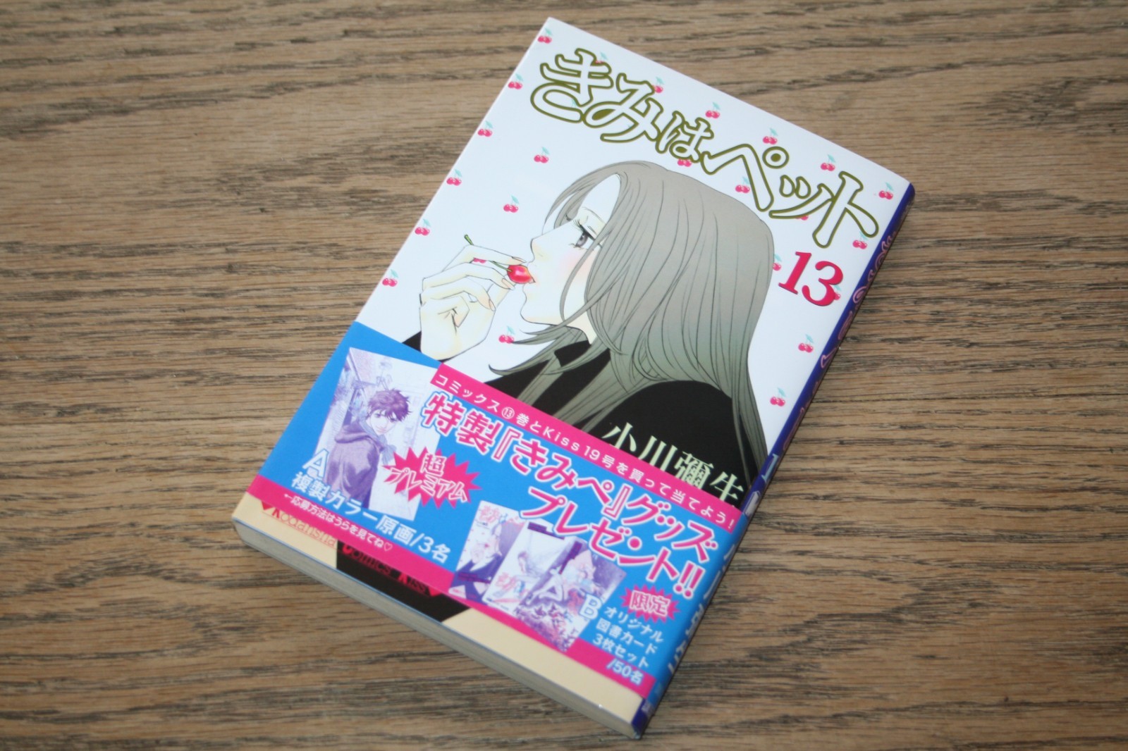 Yayoi Ogawa Kimi wa Petto Kodadsha Kiss 13 Sei il mio cucciolo GIAPPONESE