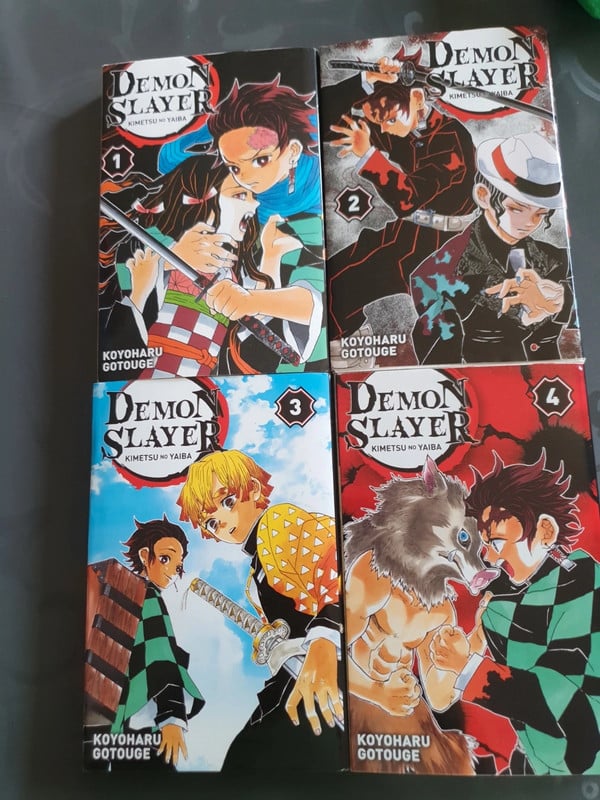 Lot 4 manges Démon Slayer