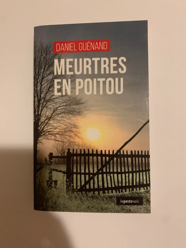Roman le geste noir 164