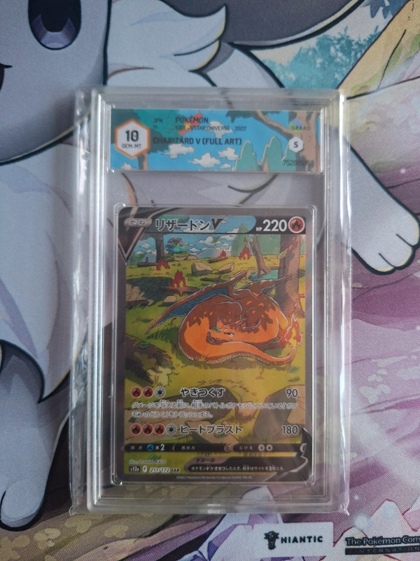 Charizard V (s12a 211)