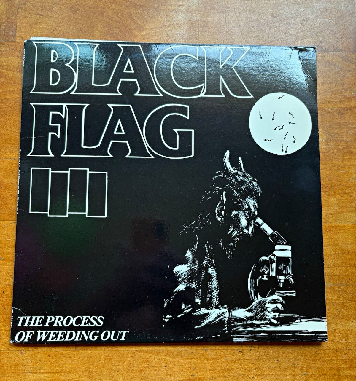 Black Flag - The Process of Weeding Out