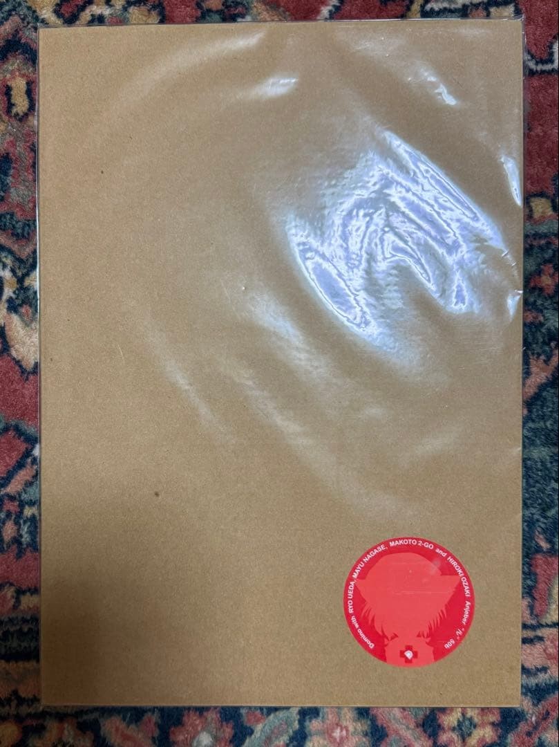 Anjeber Il mio nome è Domino Doujin libro d'arte Ryo Ueda Aoi Nanase
